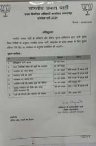 MP BJP President Election 2025: 