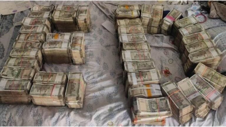 ed raid nexa evergreen scam rajasthan gujarat cash crypto seized 