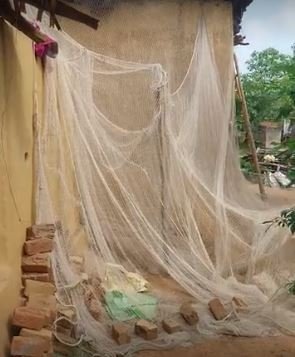 घर के अंदर घुसा तेंदुआं