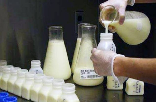 मदर मिल्क बैंक