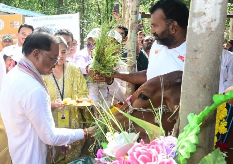 सीएम साय