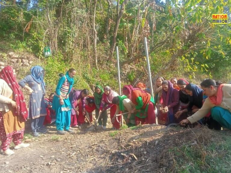 MGNREGA Scam Hamirpur