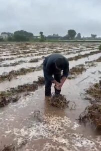 फसलों को भारी नुकसान