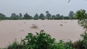 मुआवजे की मांग