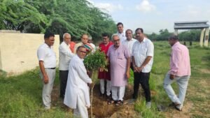 Tree Plantation