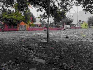 ग्यारसपुर में धार्मिक मेले की भव्यता के बाद गंदगी का अम्बार