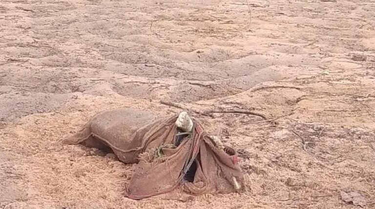 Singrauli River Body Case: