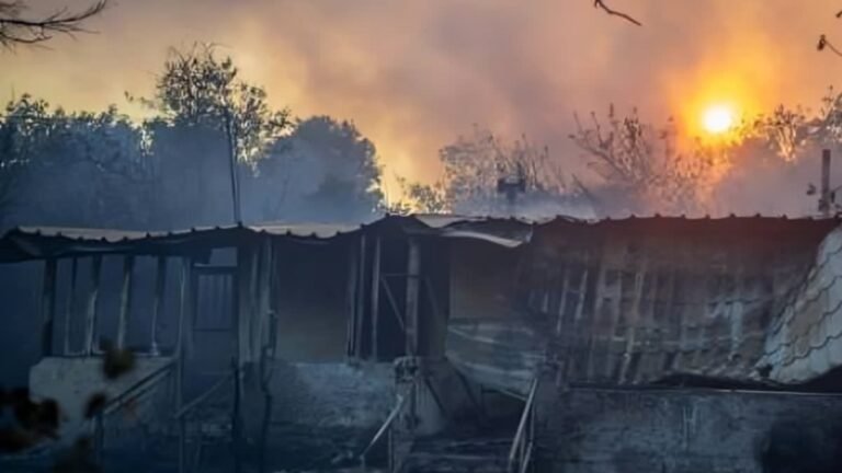 heatwave deaths climate change impact europe india