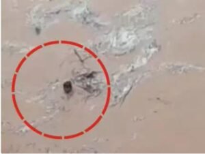 उफनदी नदी में फंसा युवक