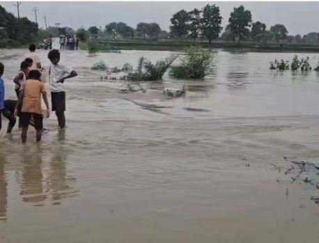 कई गांव टापू में तब्दील