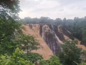 उफनदी नदी में फंसा युवक