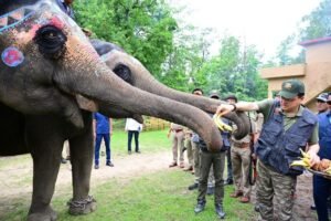 Uttarakhand jungle safari tourism: