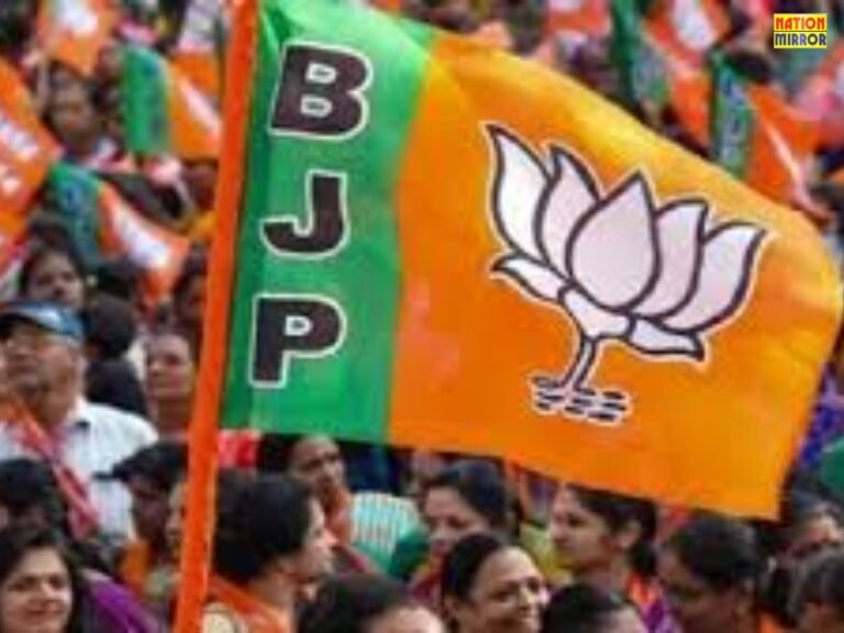BJP organizational changes