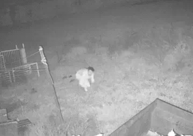 CCTV में कैद चोर