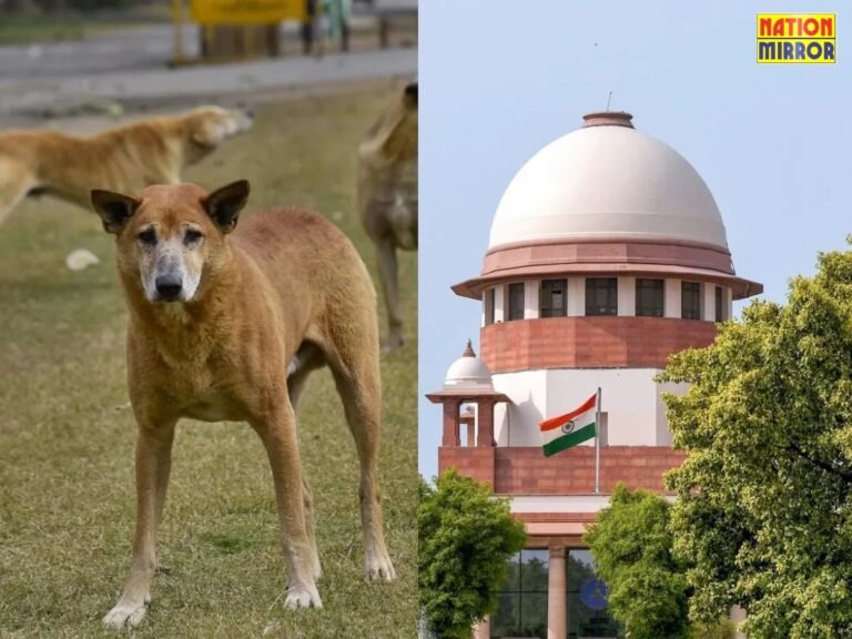 Stray Dogs Supreme Court Order