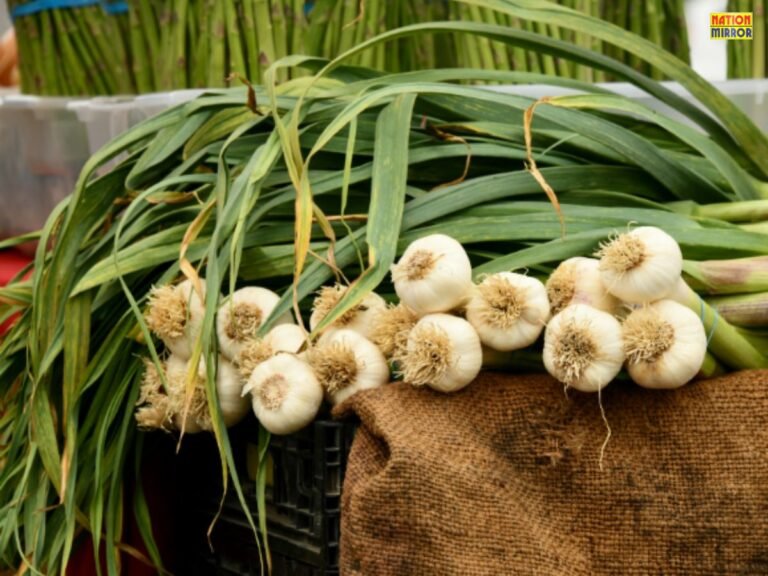 Health Benefits of Garlic leaves