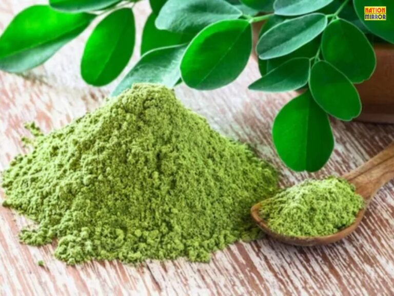 Moringa Powder Benefits