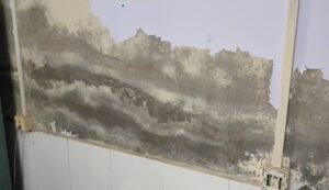 Government Building: