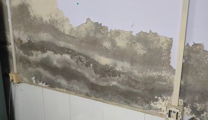 Government Building: