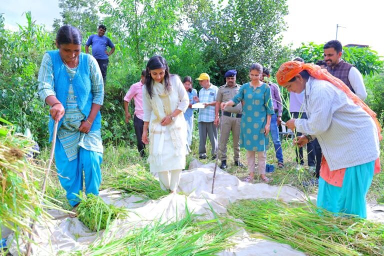 Crop Cutting Experiment Pauri