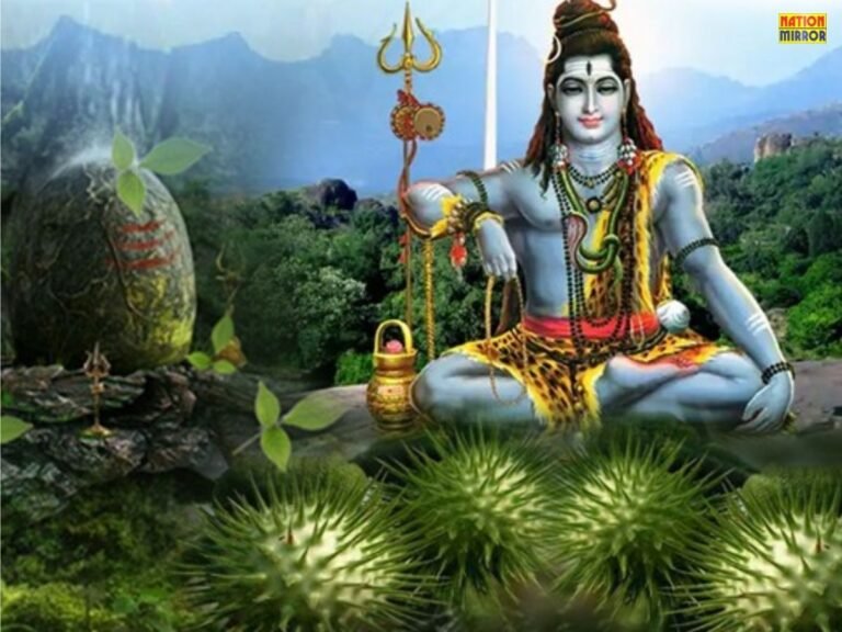 Why is Datura offered to Lord Shiva (1)