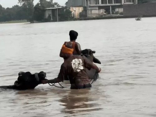 flood alert delhi yamuna himachal rain landslide india 