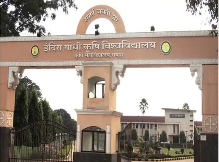 इंदिरा गांधी विश्वविद्यालय