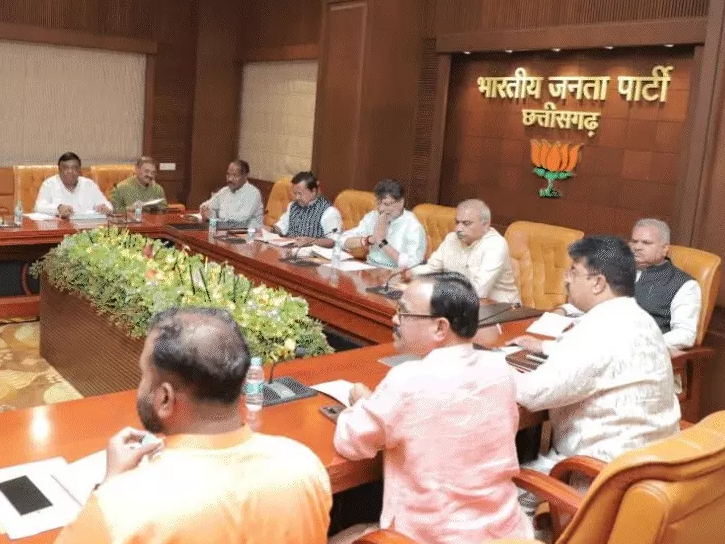 बीजेपी मंथन