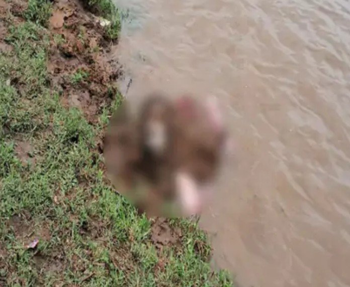 बोरियों में मिली लाश