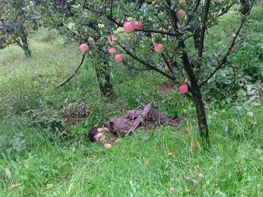 Kulgam encounter terrorist Indian army Jammu Kashmir counter terrorism security forces