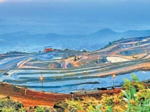 छत्तीसगढ़ के बस्तर क्षेत्र में बैलाडीला का लौह-अयस्क को सुपर हाई ग्रेड के रूप में जाना जाता है