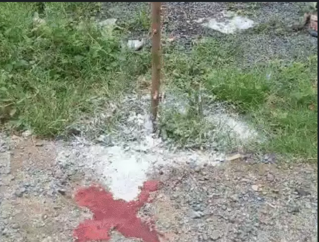 illegal plotting on government land