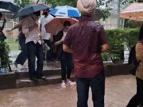 chandigarh flood sukhna lake danger level schools closed tree fall bus car 