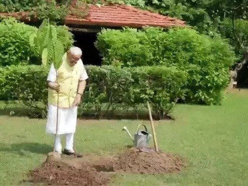 modi-prince-charles-plant-gift, pm-modi-planting-kadamba, pm-modi-birthday-gift-plant 