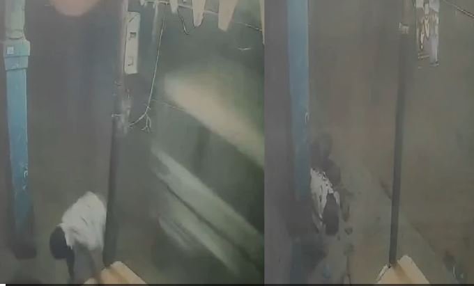 बोलेरो से कुचला