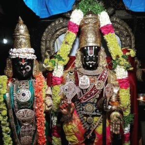 सर्वाणी माता