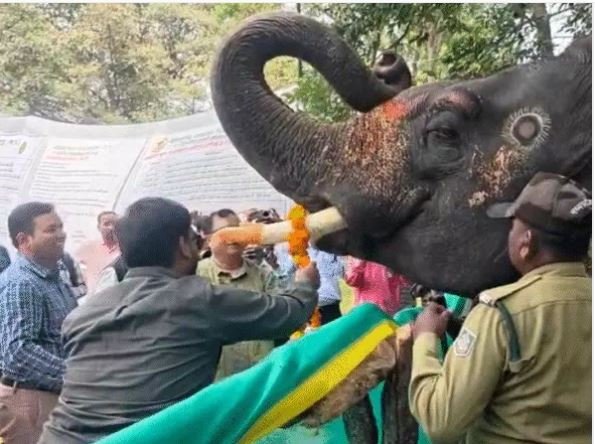 हाथिया की मौज