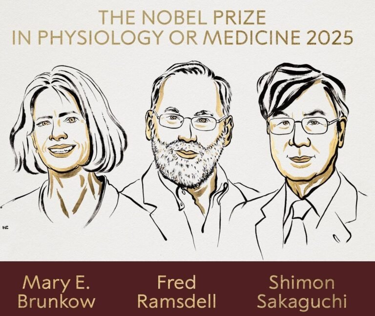 2025 Medicine Nobel for T-cell immune research