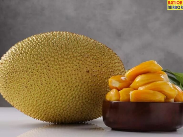 _Jackfruit Benefits and Side Effects