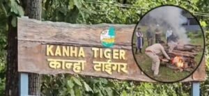 Kanha National Park