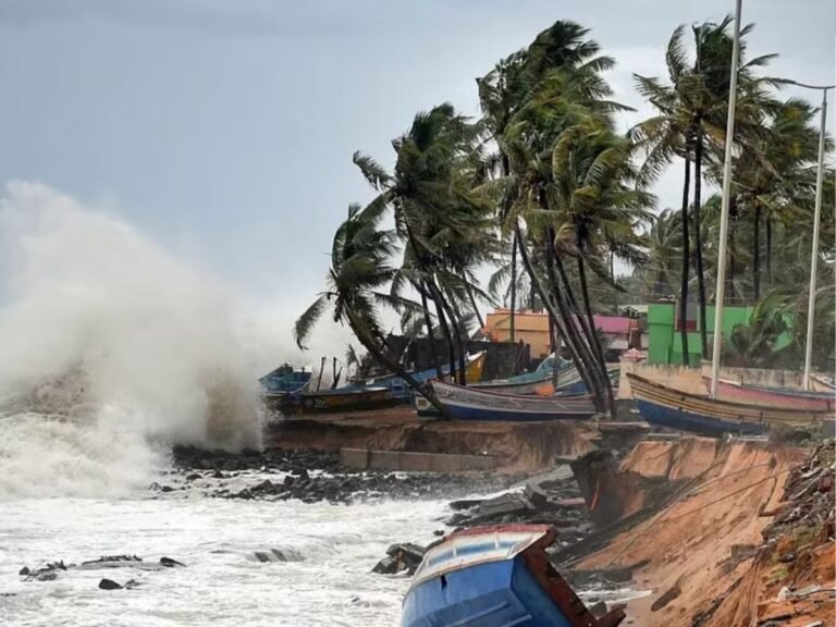 Cyclone Montha impact Chhattisgarh