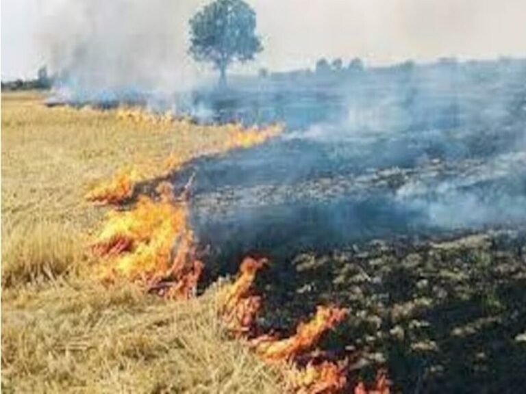 Rajasthan stubble burning fourth rank India
