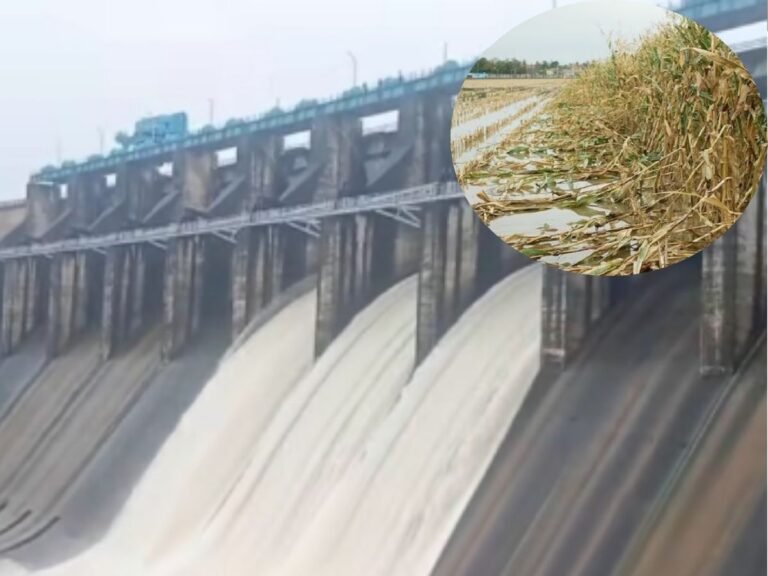 Tawa Dam gates opened due to heavy rain