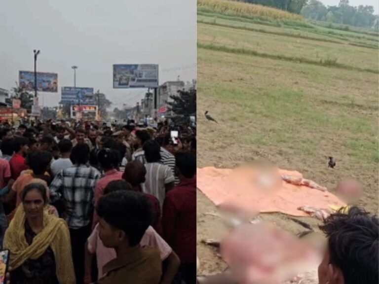 Cow head found in Badaun