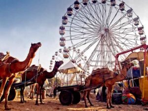 पुष्कर मेला 2025 