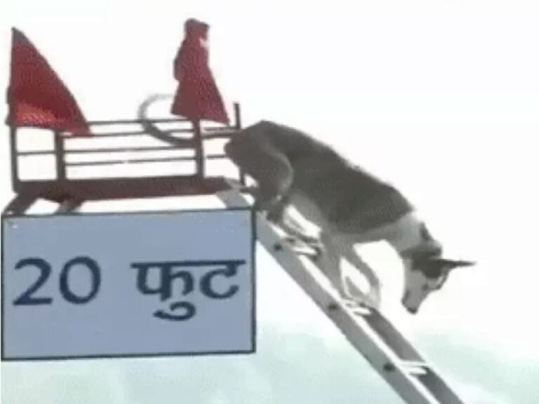 PM Narendra Modi BSF Dog Training Centre 2025