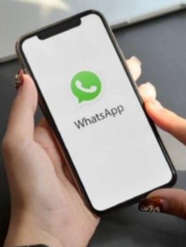 cropped-WhatsApp-WhatsApp-New-Feature-2.jpg