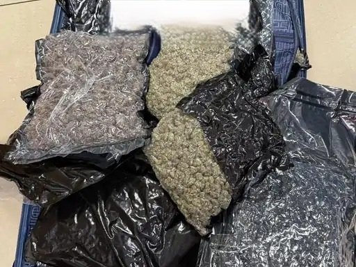 mumbai-airport-drug-smuggling-drones-exotic-animals-seized