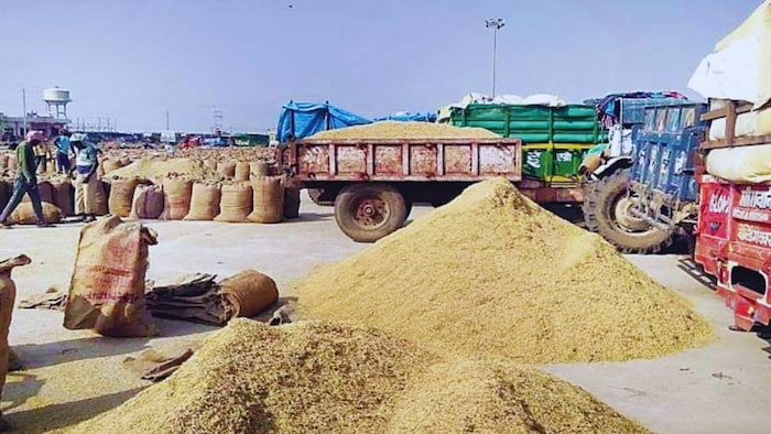 Chhattisgarh Paddy Procurement
