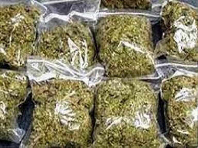 Odisha Rajasthan Ganja Smuggling 2025